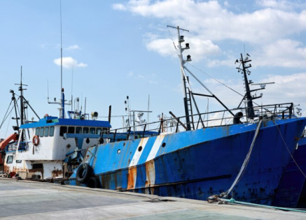 Efficiency at Sea: The Unique Advantages of Ro-Ro Ship Design