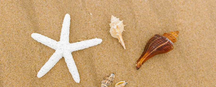 Top Sources of Marine Pollutant and How They Harm Ocean Life