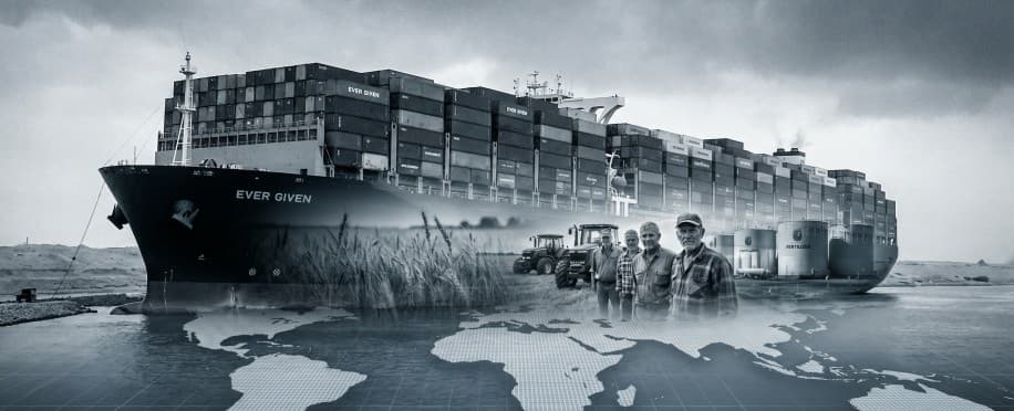 Prolonged Strait of Hormuz Closure Would Threaten Global Food Security, Warns FAO Director