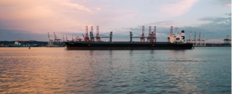 Green Dilemma: The Complexities of Adopting Ammonia as a Marine Fuel