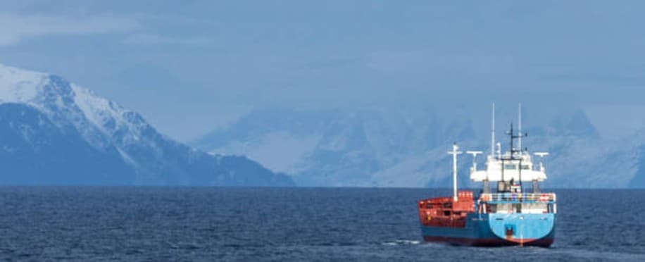 Trends in Arctic Shipping: A Decade of Transformation
