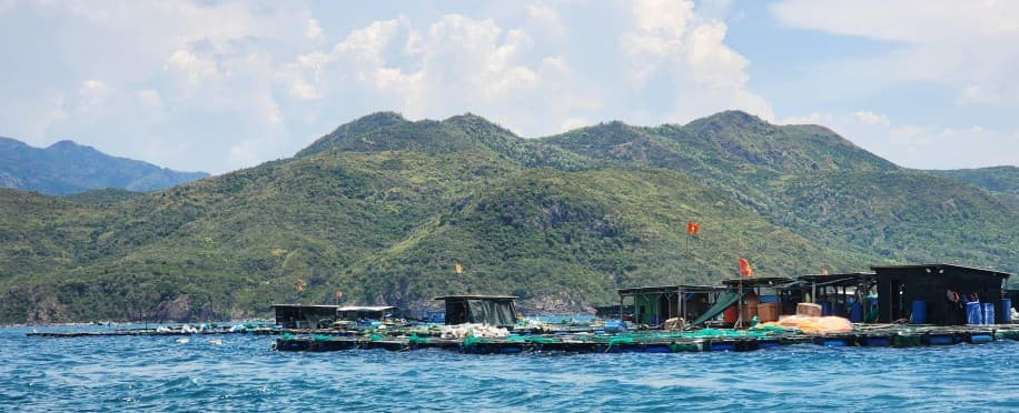 Implications of the WTO's Agreement to Reduce Fishery Subsidies