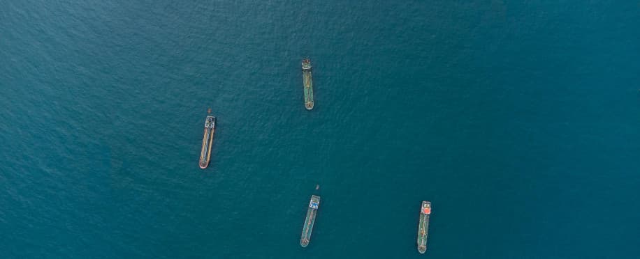 Tokei Kaiun's Bulk Carrier Becomes The First Certified Hydroponic Vegetable Grower at Sea