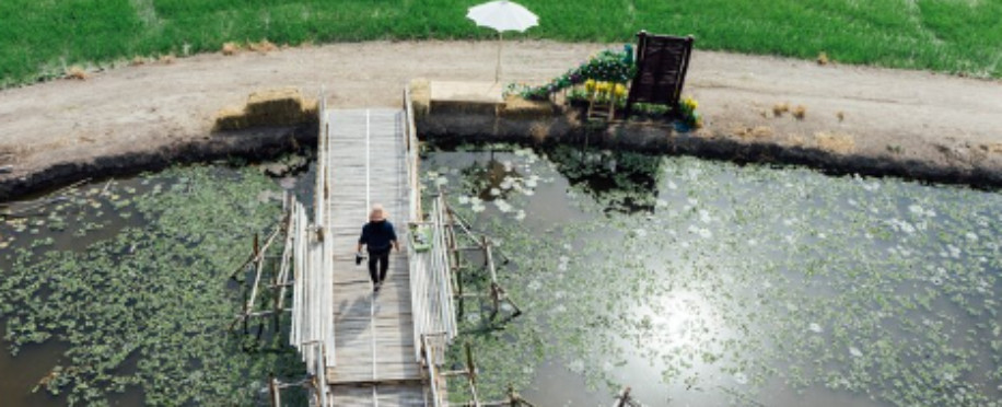 Pioneering Innovations in Aquaculture Development 2024