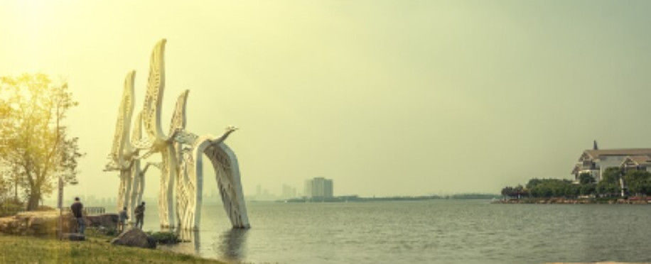 Green Harbors: The Transformative Power of Cold Ironing in Reducing Ship Emissions