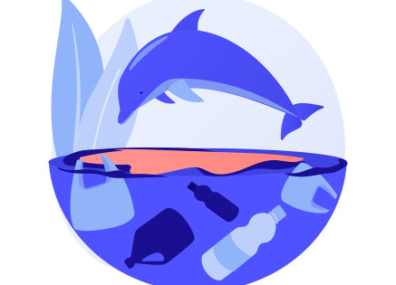 Ocean Acidification and Its Impact on Maritime Ecosystems