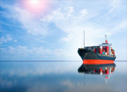 The Compass of Success: Leveraging Shipping KPIs for Growth