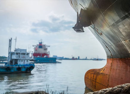 The Digital Revolution: Innovations Shaping the Future of Shipping Management