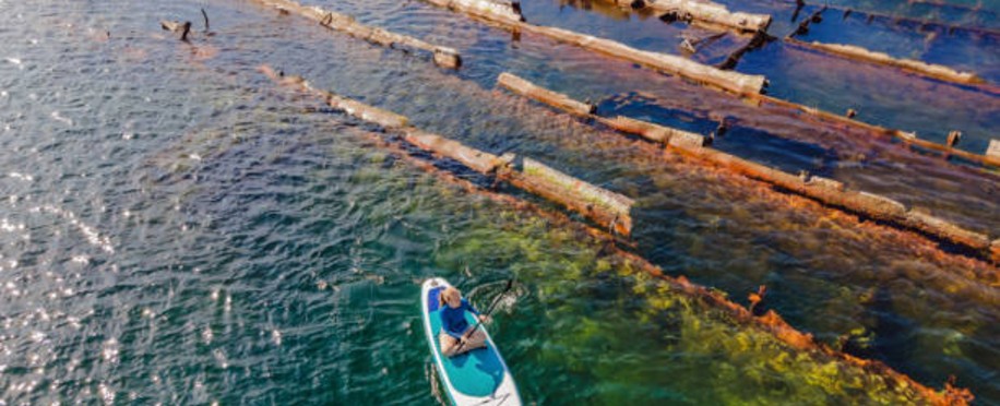 Why Cargo Damage Investigations Often Miss the Root Cause