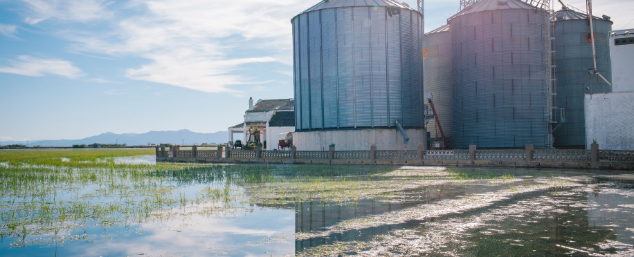 Navigating the Challenges of Ballast Water Management