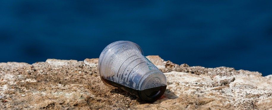 Marine Desertification: Causes, Impacts, and Solutions for Ocean Ecosystems