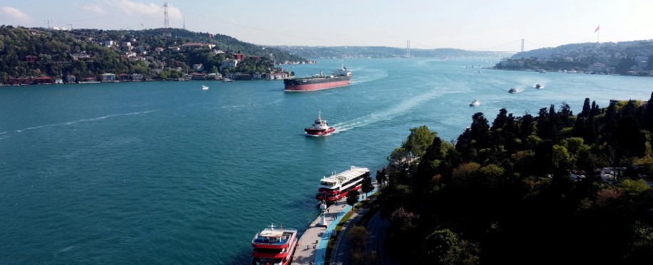 The IMO 2020 Shift: What You Need to Know About Low Sulphur Fuel