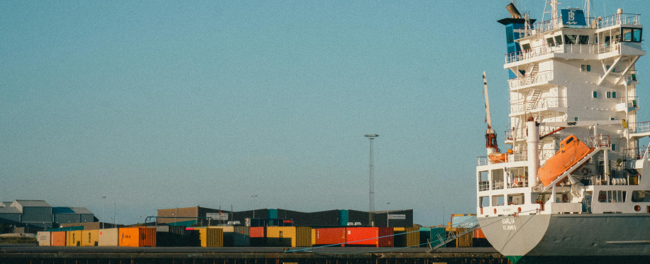 Global Marine Port Congestion: Navigating the Perfect Storm