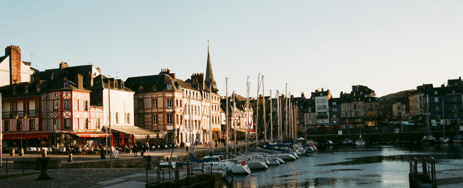 The Critical Role of Marine Protected Areas in Ocean Conservation