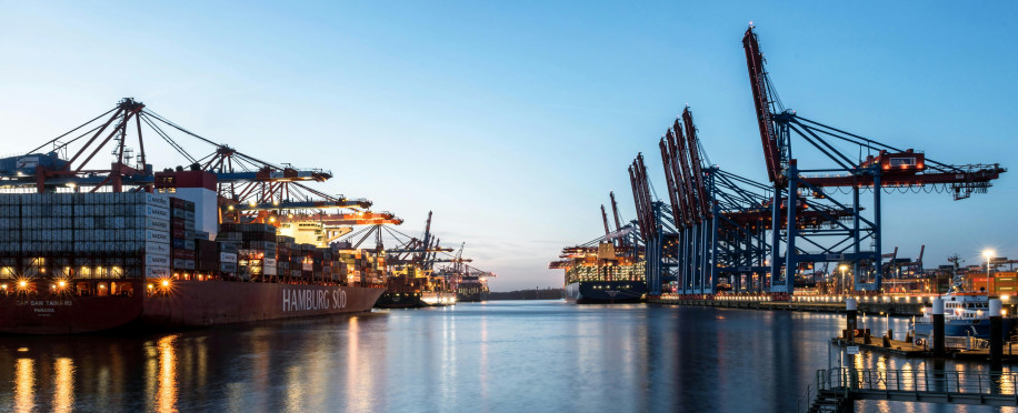 The Economic Impact of Pilotage on Port Operations