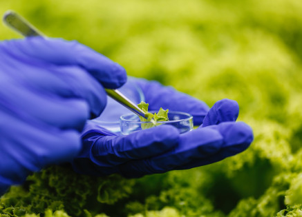 Bioremediation Techniques: Nature's Answer to Oil Spill Disasters