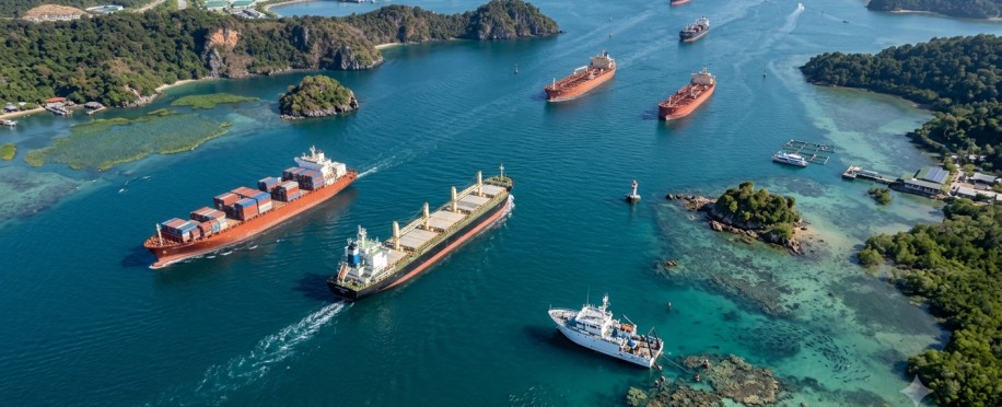 Marine Environmental Impact Assessment (MEIA) Processes: Standards, Methods, and Global Practices