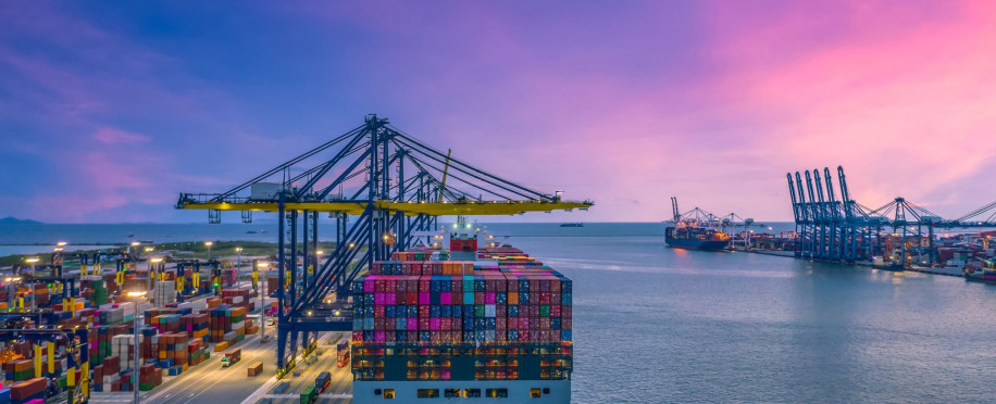 The Blueprint of Maritime Commerce: From Chartering to Consignments