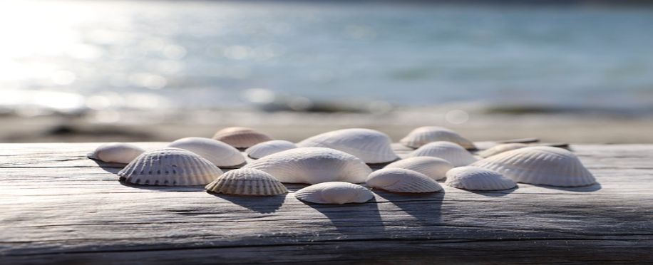 Sustaining Life Below Water: Prioritising Marine Biodiversity Conservation