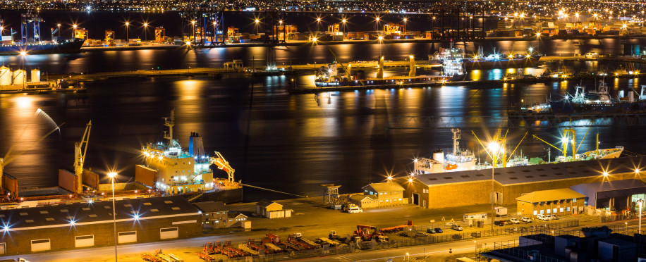 Analysing the Impact of Port Congestion on Supply Chain Efficiency