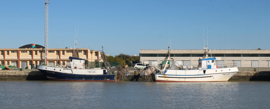 Charter Party Explained: The Legal Backbone of Maritime Shipping