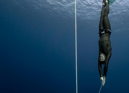 Future Trends in Marine Conservation: What's Next for Our Oceans?