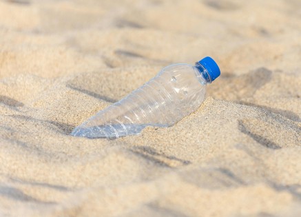 Marine Desertification: Causes, Impacts, and Solutions for Ocean Ecosystems