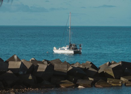 Hub Port vs. Feeder Port: Key Differences and Why They Matter