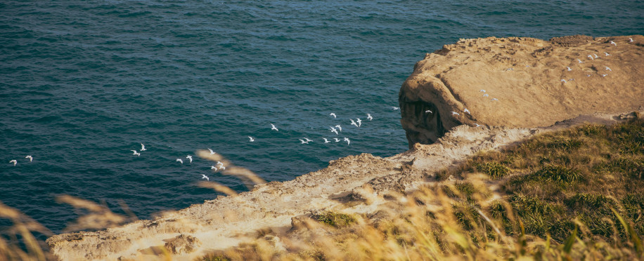 Behind the Scenes of Sea Trials: What Happens Before a Ship Sets Sail?