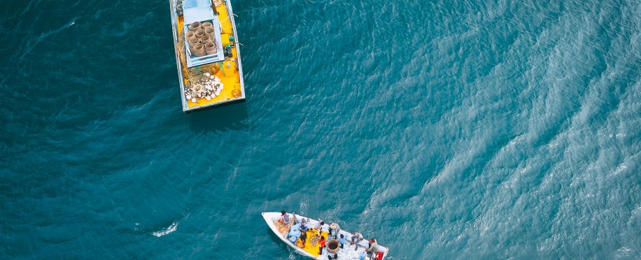 Feeder Vessel vs. Mother Vessel: What’s the Difference?