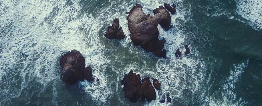 Future Trends in Marine Conservation: What's Next for Our Oceans?