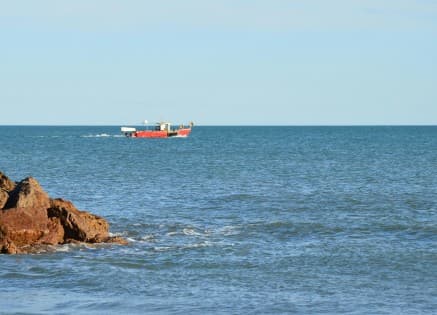 Ship Stability Management: Ballast, GM, Trim & Stress Monitoring