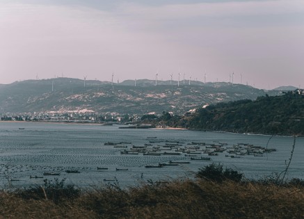 Energy Efficiency Operational Indicator (EEOI): A Key Metric in Sustainable Maritime Operations