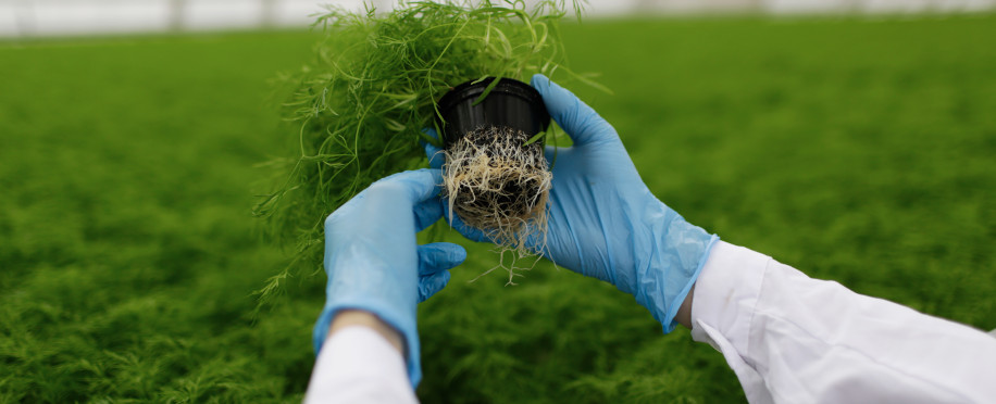 Bioremediation Techniques: Nature's Answer to Oil Spill Disasters