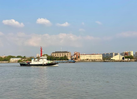 Green Shipping NGOs Demand a Solid Structure for Green Shipping from the EU