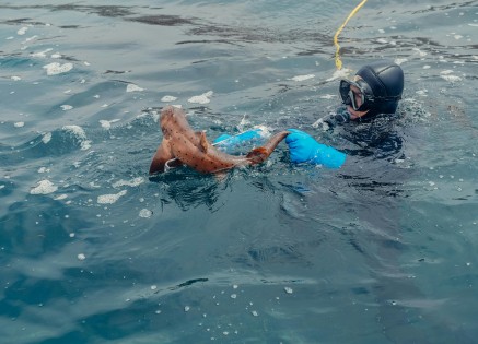 UN Will Examine Seafarers' Work Hours After Study Shows 74% Overwork